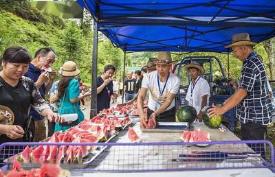 鞋帽零售領(lǐng)跑，我市社會(huì)消費(fèi)品零售總額增速榮登全省榜首
